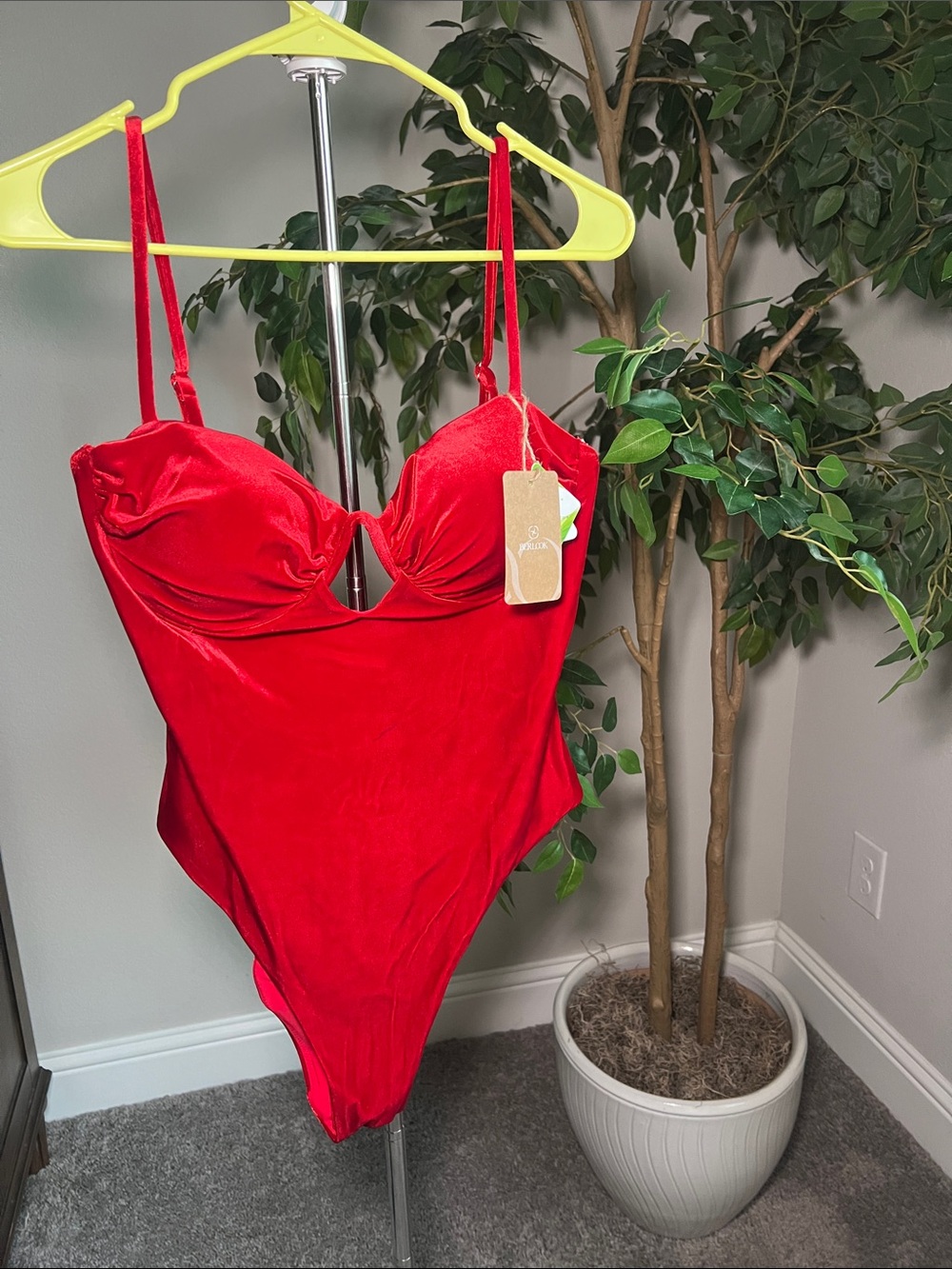 Red Velvet One-Piece Swimsuit